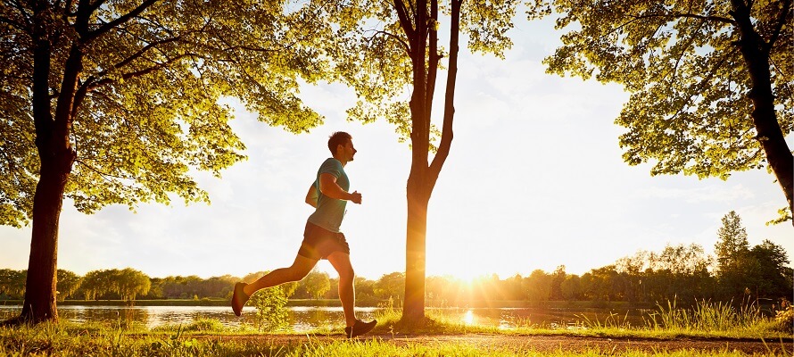 Candler Park The Tranquil Neighborhood Rentcafe Rental Blog