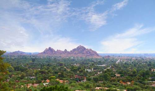 Arcadia is a hot Phoenix neighborhood.