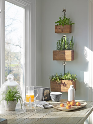 Wall cube planters Wall cube planters