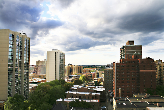 Lincoln Park Chicago