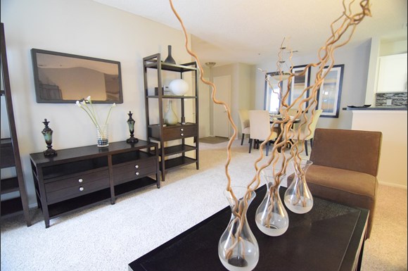 The Pointe at Preston Ridge apartments in Alpharetta GA