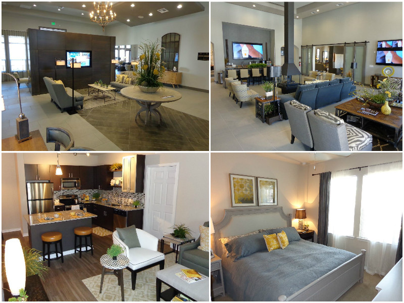 Wiregrass at Stone Oak