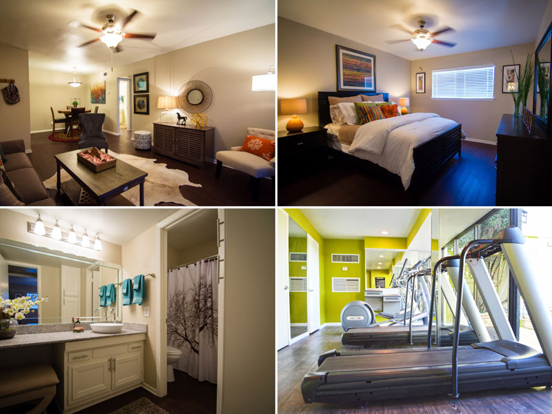 Elevation Apartments in Austin