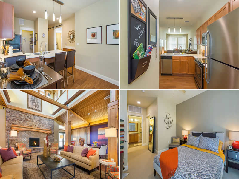 Broadstone Blake St Denver CO 80206