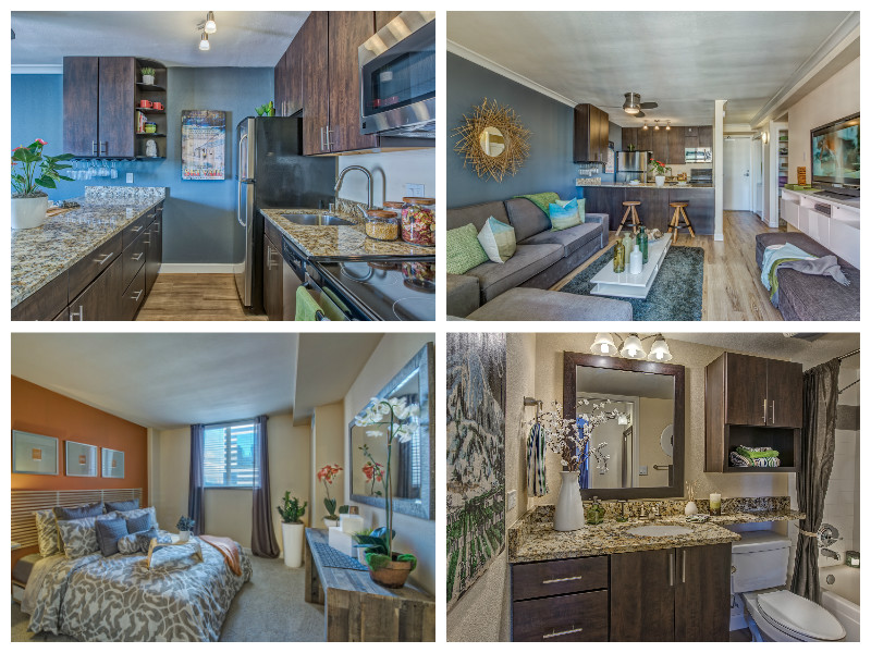 Skyline Skyline 1801 Arapahoe Street Denver CO Apartments for Rent