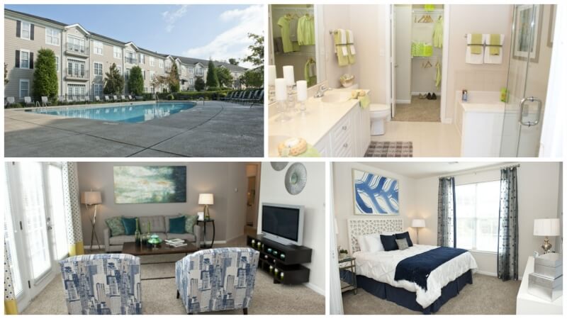 Sterling Magnolia Apartments pet-friendly apartments in Charlotte, NC