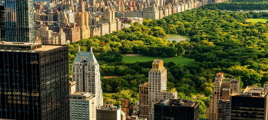 view-over-central-park-feature