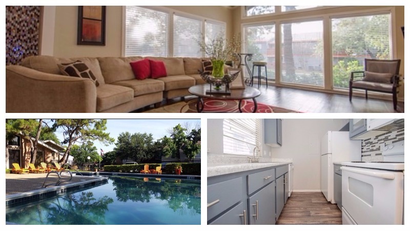 Apartments for rent at Springtree Apartments Available Now in Arlington, TX