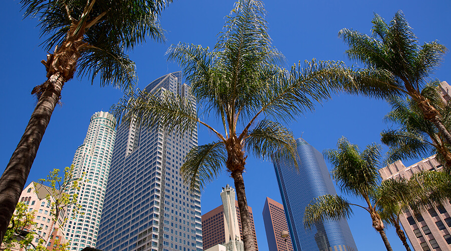 apartments for Rent in Los Angeles