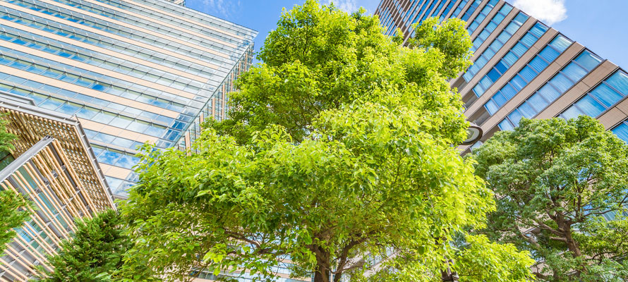 green sustainable lifestyle