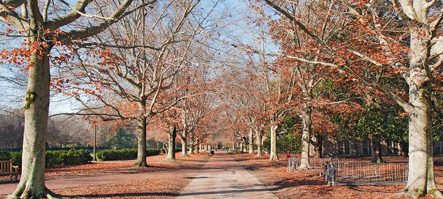 College of William and Mary