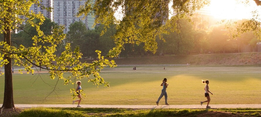 Atlanta_neighborhood_park_morningside
