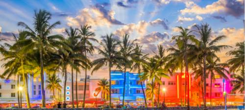 Miami skyline with colorful buildings and palms