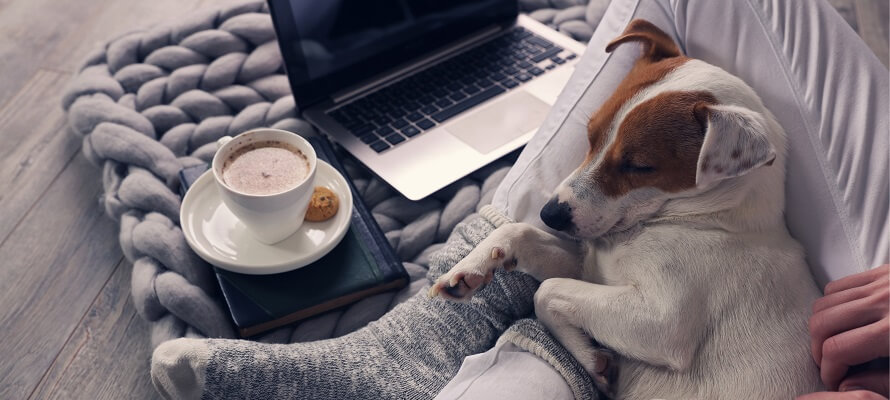 winter cozy home