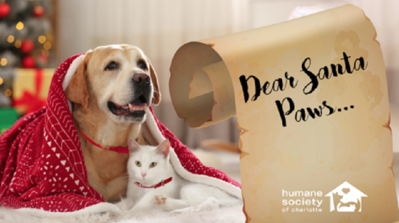 Humane Society Charlotte