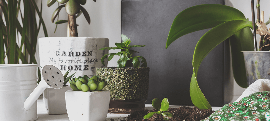 apartment garden