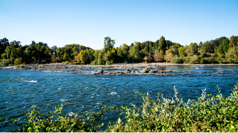Wilamette river Springfield OR