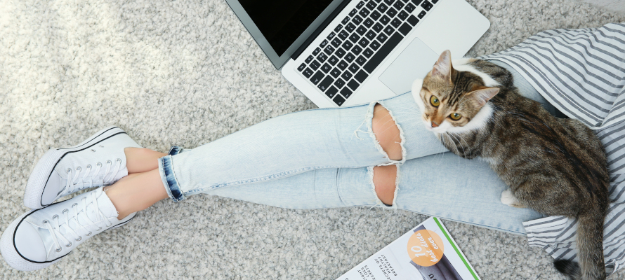 keep-pet-health-and-happy-quarantine-featured