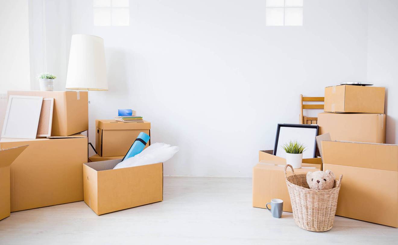 Moving to Springfield, Oregon