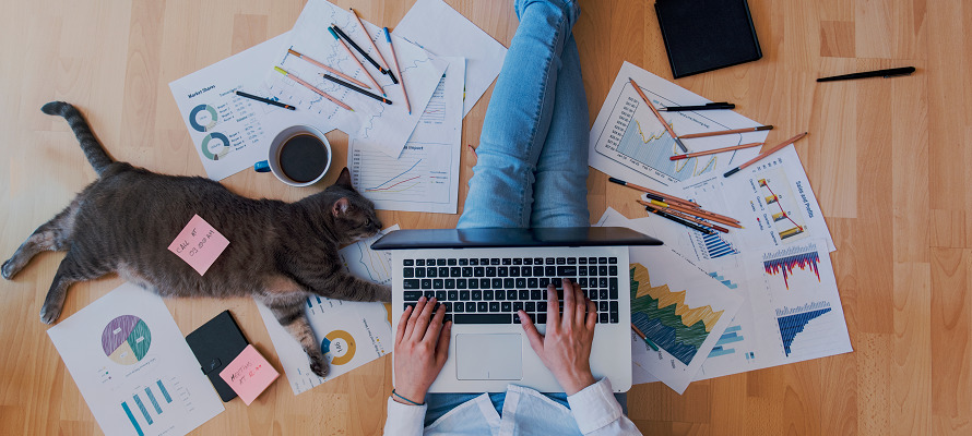 side jobs to do from home