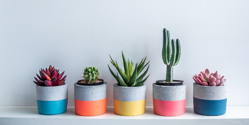 diy cement pots