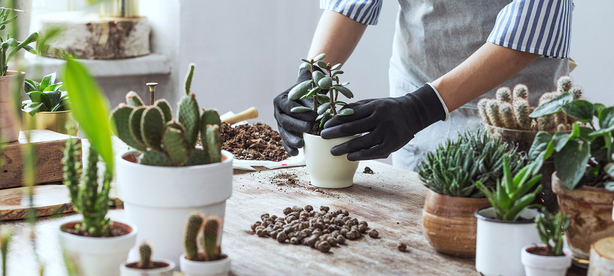 diy plant pots