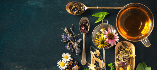 plants with health benefits