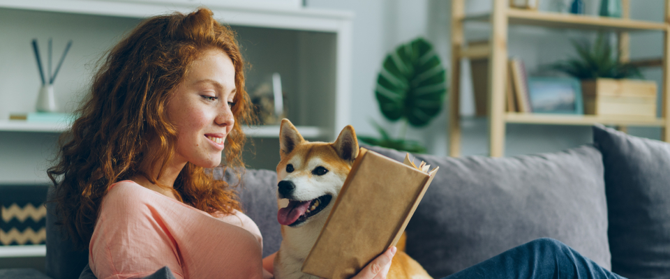 prevent your dogs from barking