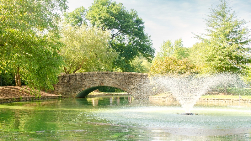 Dilworth Charlotte NC