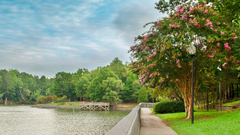 Steele Creek Charlotte NC