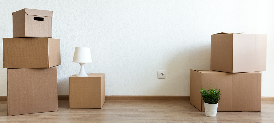 moving boxes in living room