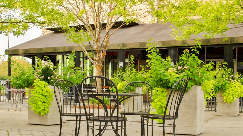 Yorkshire Charlotte NC