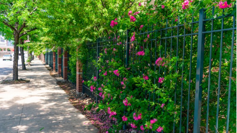 Chicago's South Loop - Park