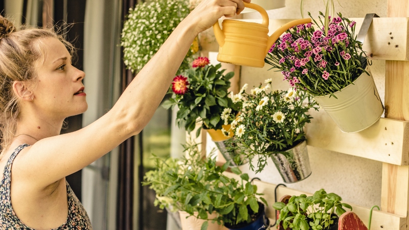 balcony potted plants
