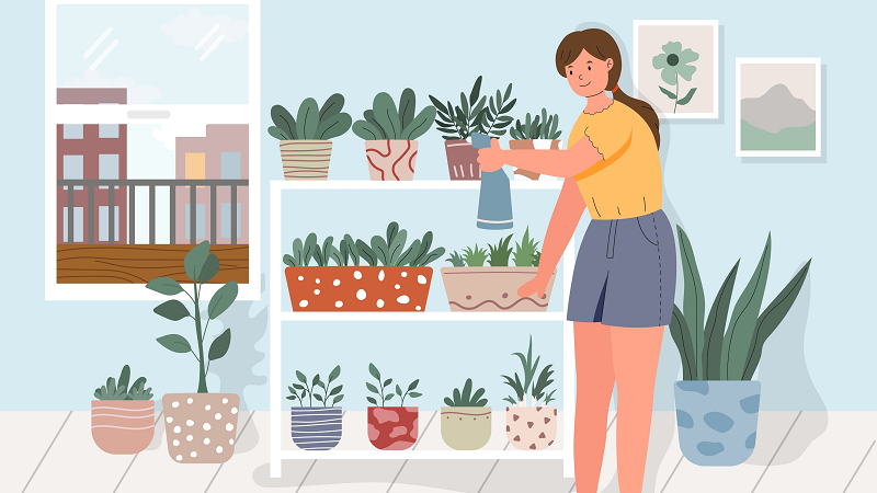 growing plants in apartment