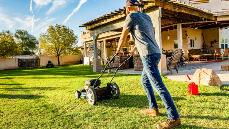 cleaning and mowing Fort Lauderdale garden