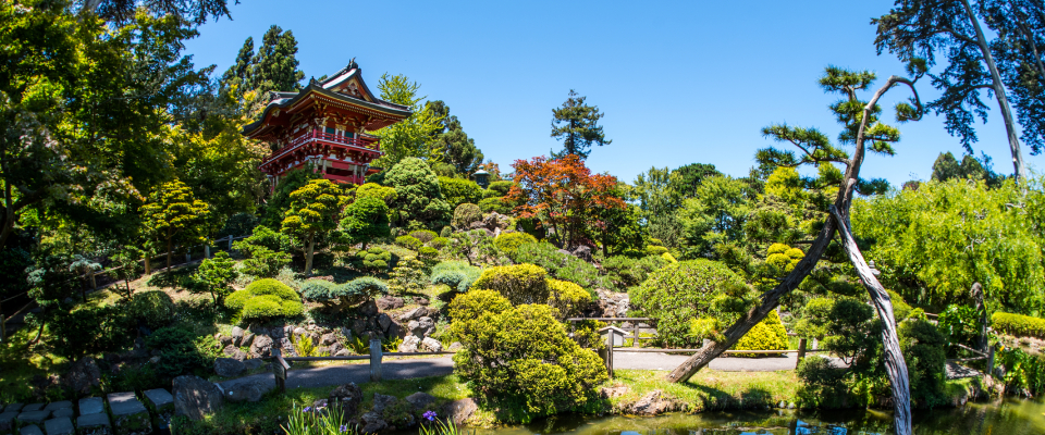 Japanese garden at golden gate park, San Francisco, California 