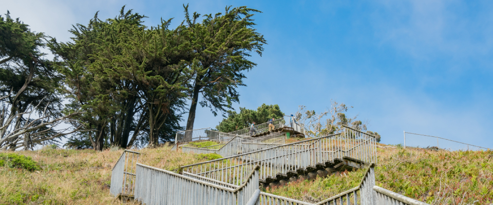 Clambing up the stairs for the great view at San Francisco, California.