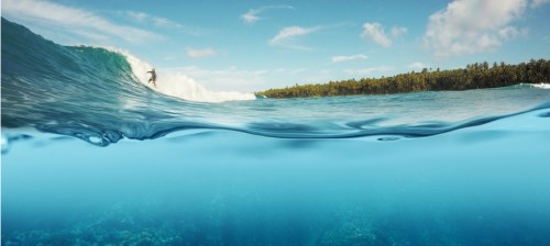 surfing and diving gear