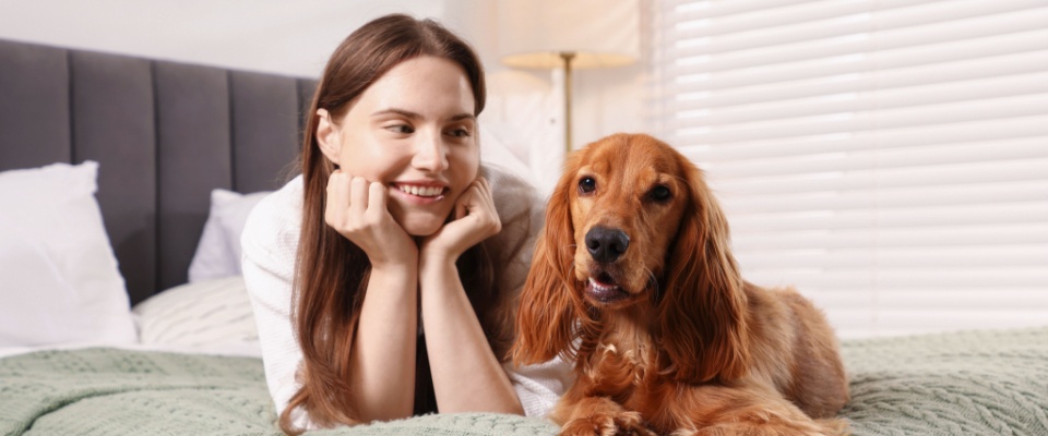 adopting a pet