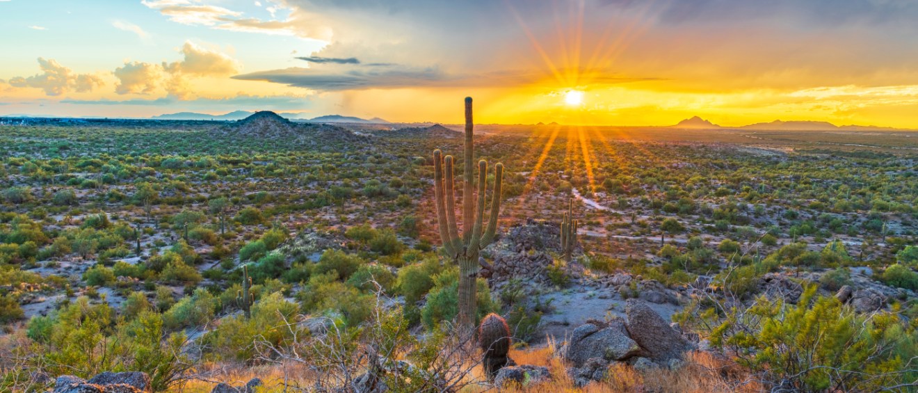 top things to do in mesa, az