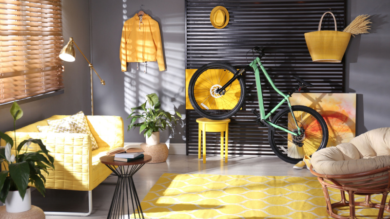 Modern bicycle and comfortable sofa in stylish living room interior