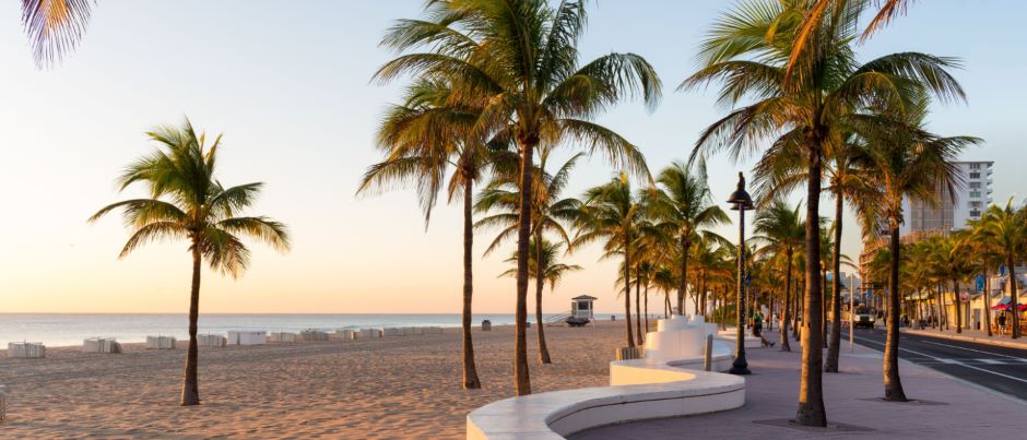 Palm trees lining Fort Lauderdale Beach in Fort Lauderdale, FL