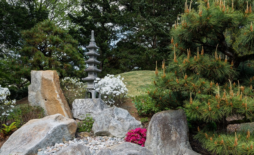 japanese garden must visit in nashville
