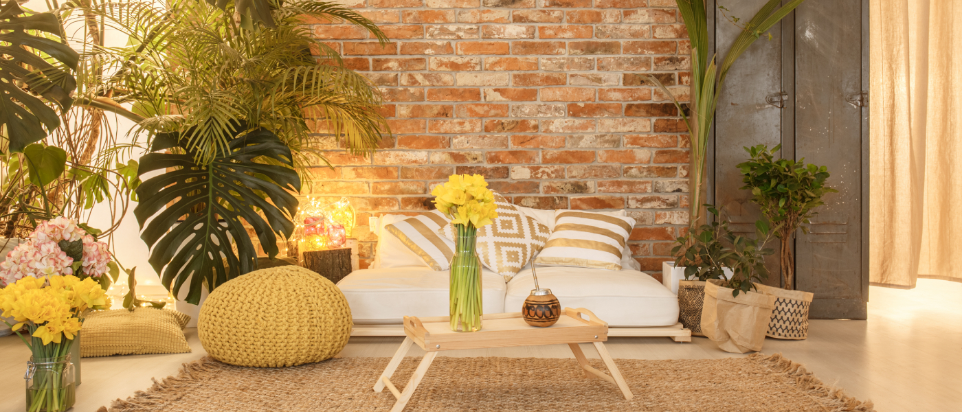 wellness design