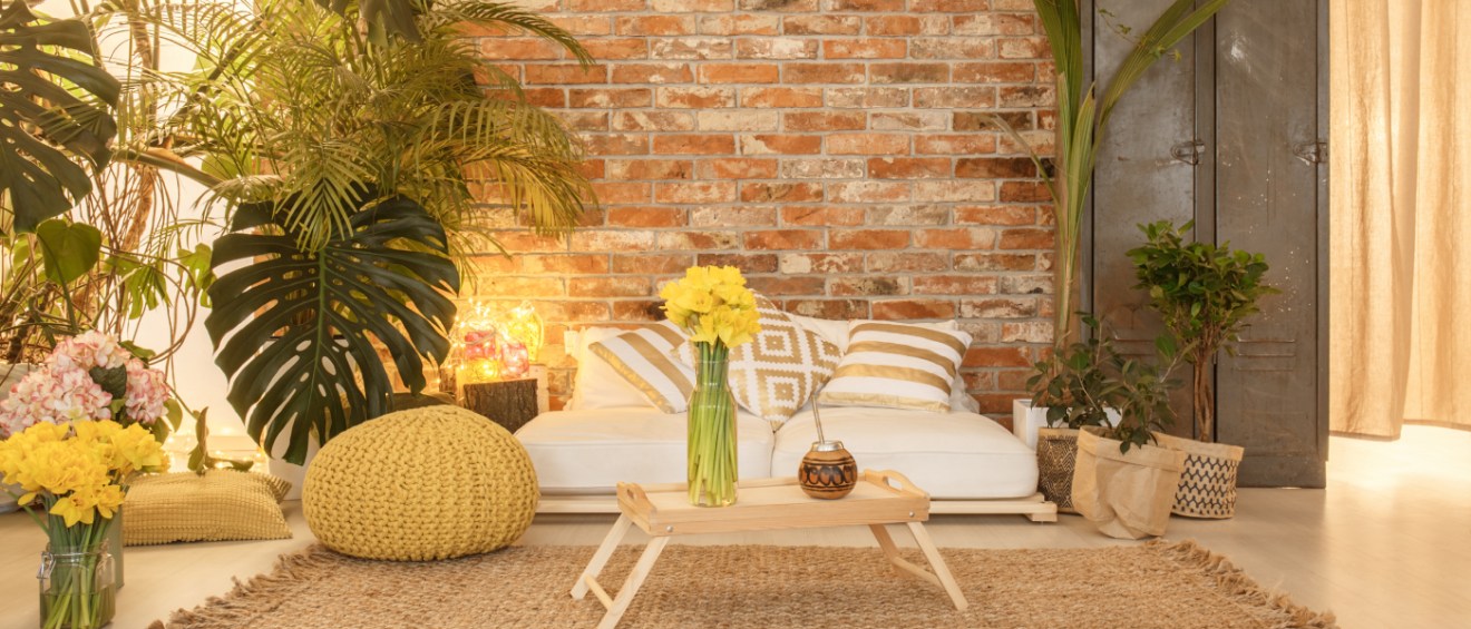 wellness design