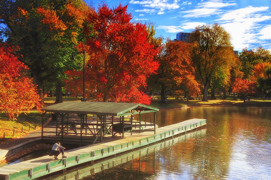 fall at boston common