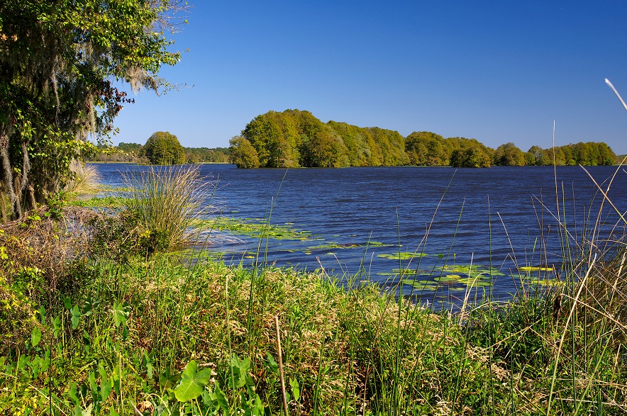 lake talquin
