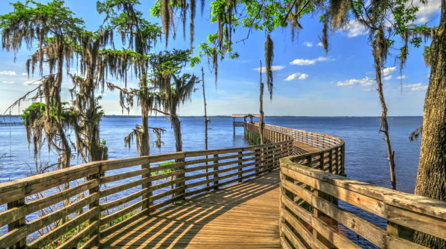 new houses for rent in Florida