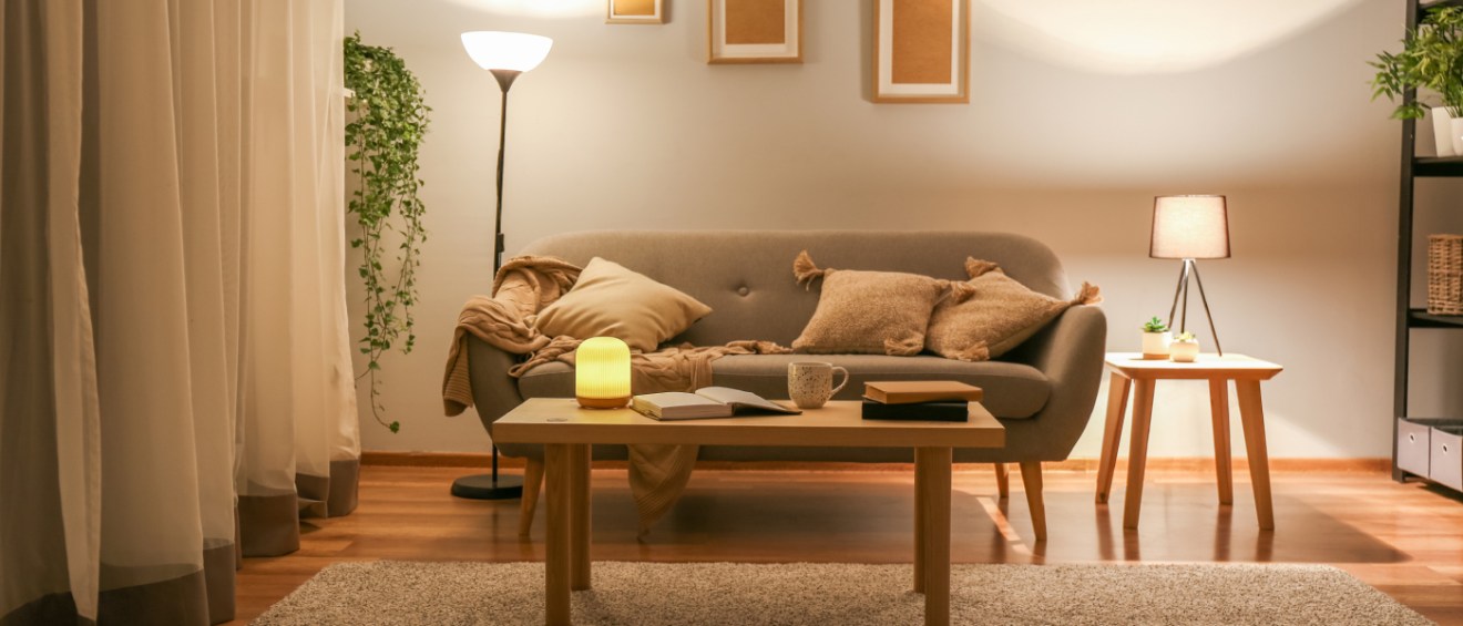 tips for living with a roommate